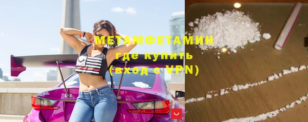 ГАЛЛЮЦИНОГЕННЫЕ ГРИБЫ Богданович