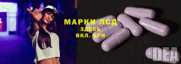 ГАЛЛЮЦИНОГЕННЫЕ ГРИБЫ Богданович