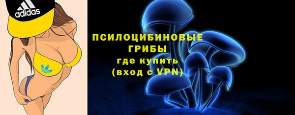 ПСИЛОЦИБИНОВЫЕ ГРИБЫ Белоозёрский