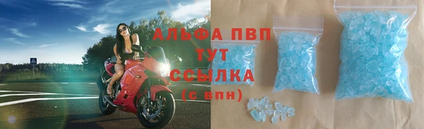 ГАЛЛЮЦИНОГЕННЫЕ ГРИБЫ Богданович
