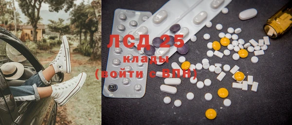 ГАЛЛЮЦИНОГЕННЫЕ ГРИБЫ Богданович
