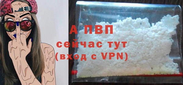 ПСИЛОЦИБИНОВЫЕ ГРИБЫ Белоозёрский